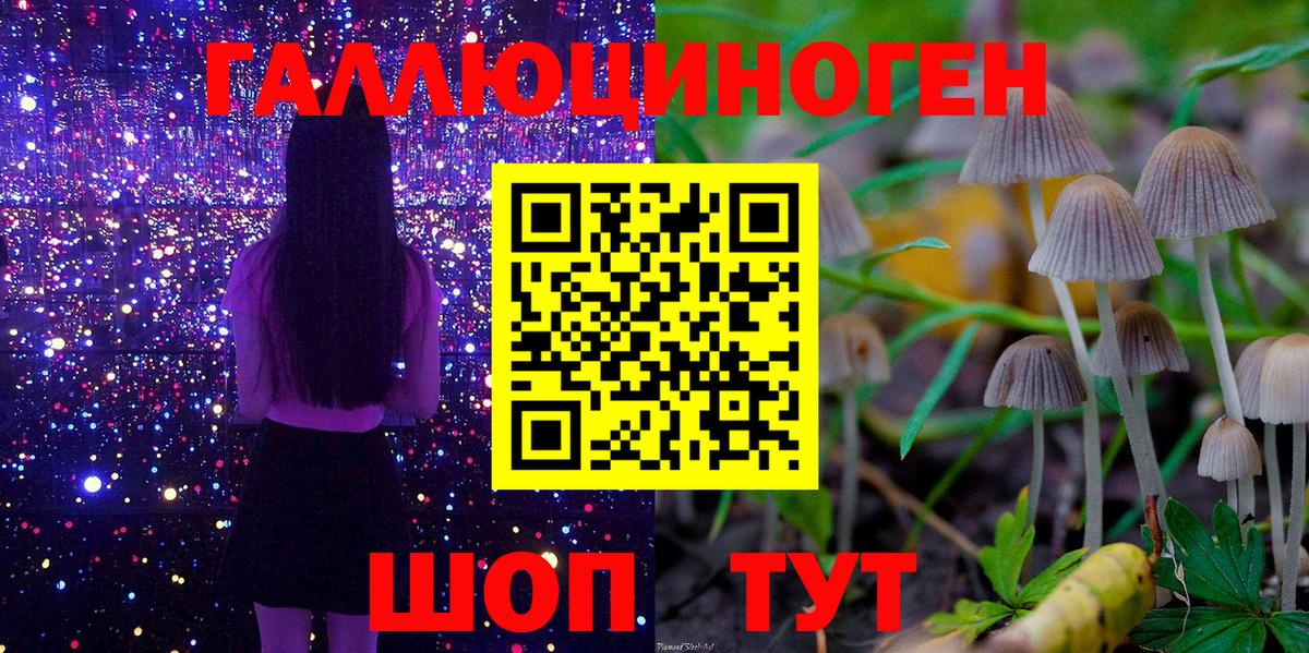 Псилоцибиновые грибы мицелий  Вход с VPN  Тобольск  Галлюциногенные грибы мухоморы 