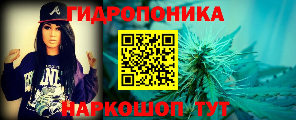 Канабис ГИДРОПОН Тобольск